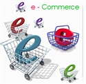 Picture of E commerce development